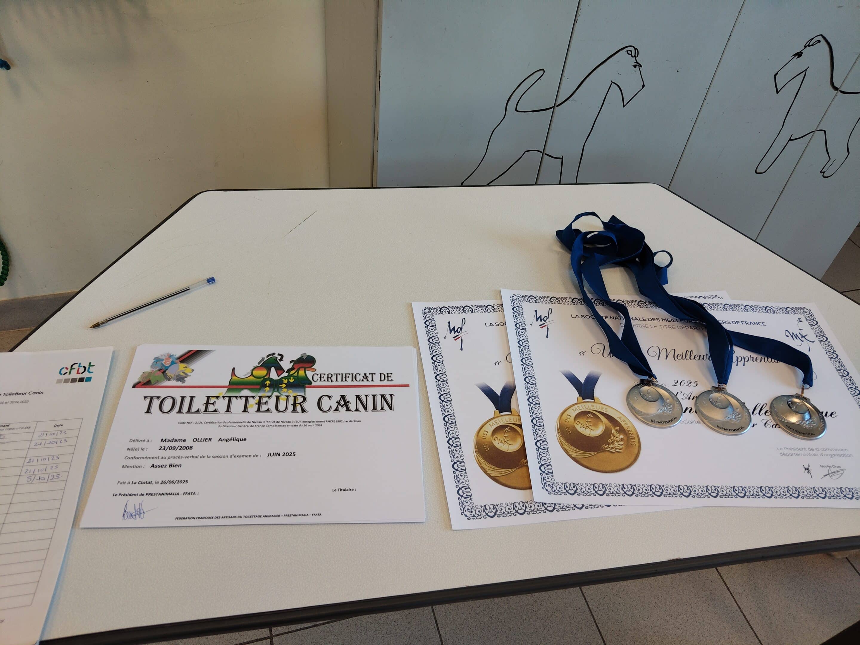remise des diplômes cap toiletteur canin et maf départemental médailles d'argent