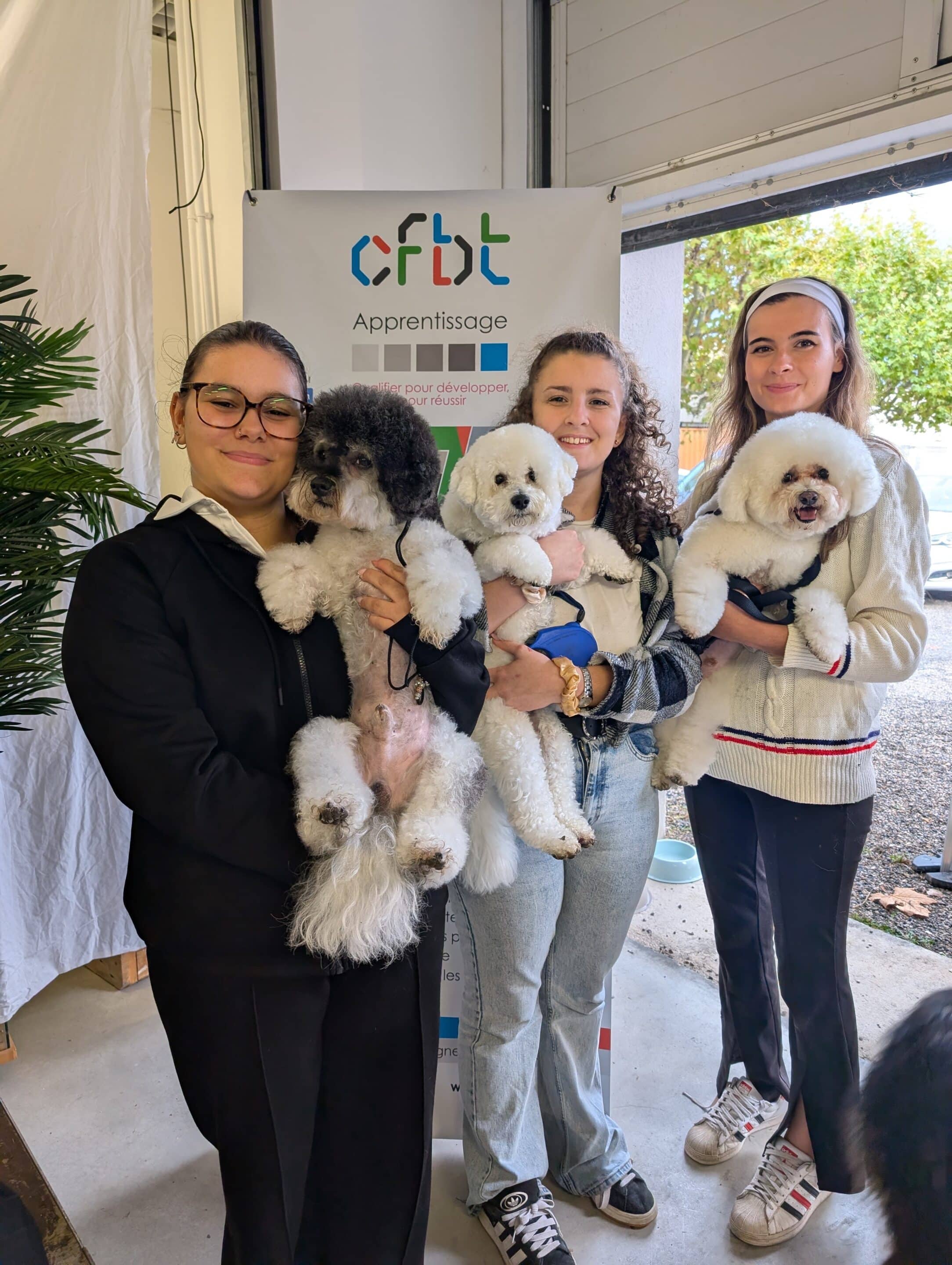 Les 3 candidates au meilleur apprenti de france toiletteur canin 2025 du CFBT à la ciotat