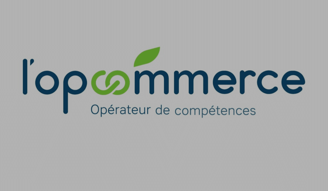 CFBT à la rencontre OPCOMMERCE sur les compétences liées à la transition écologique
